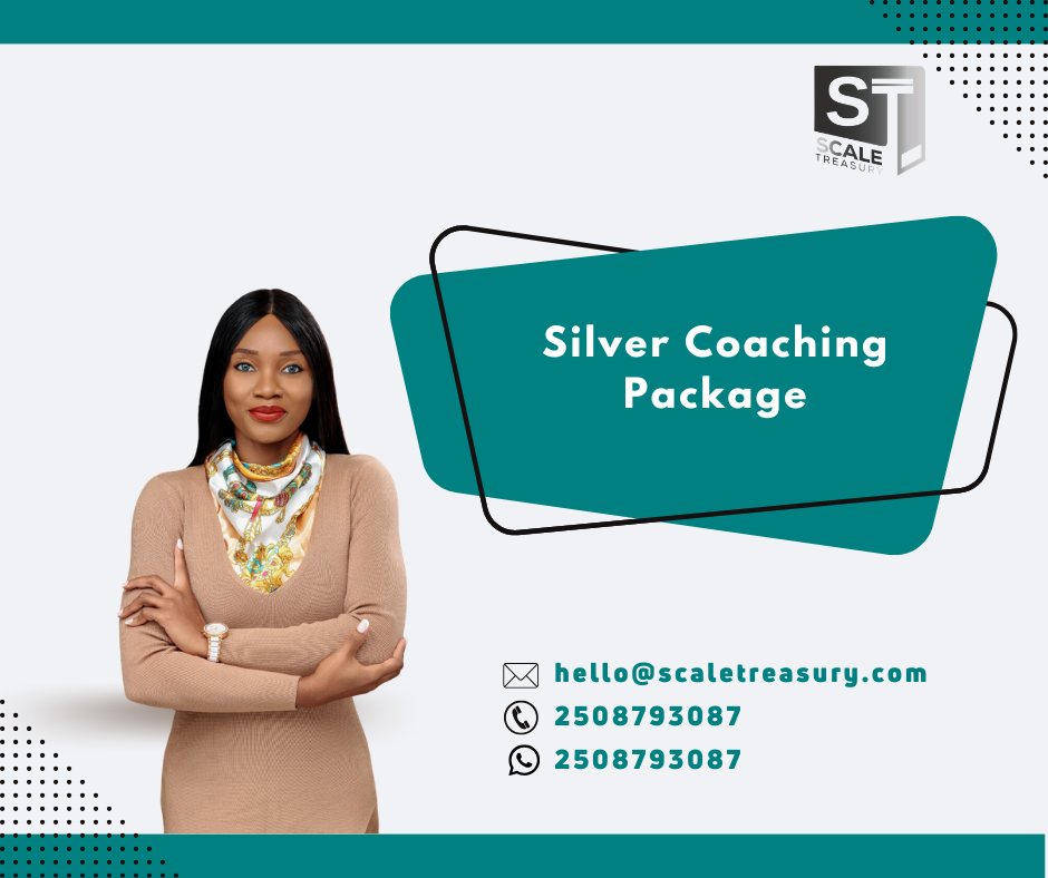 Silver Fundraising Coaching Package